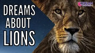 What Does Lion Dream Meaning | Dream Interpretation
