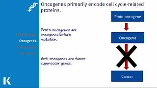 DNA Repair