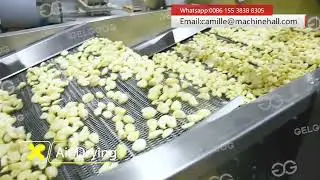 Automatic Garlic Sauce Production Line