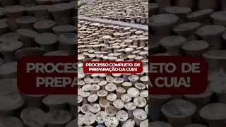 Como &eacute; feita a cuia do chimarr&atilde;o? Esse &eacute; o processo do fruto porongo at&eacute; se tornar uma cuia 🧉