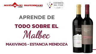 Todo sobre el Malbec junto a Estancia Mendoza/ Webinars de Julio 2024