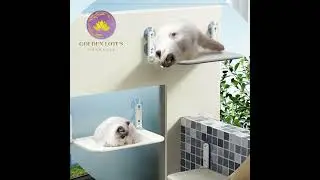 Cat 🐈 Window Hammock (Sleeping/Strong Suction holding/Comfortable/💕 Love&care on your cat)