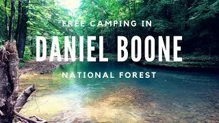 Freecamping in Daniel Boone National Forest!!