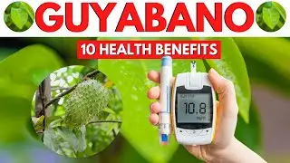 10 Mga Benepisyo Ng Dahon Ng Guyabano | 10 Health Benefits Of Guyabano  Leaves