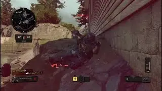 Bo4 Clip HS50 Paladin