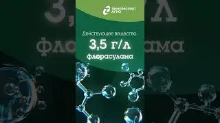 Аризон МД &mdash; гербицид для кукурузы | Эффективная защита от злаковых и двудольных сорняков