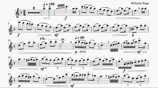 Wilhelm Popp - Russisches Zigeunerlied Op. 462 (orchestra)