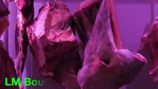 D&eacute;couvrez la premi&egrave;re saucisse &agrave; base de CBD fabriqu&eacute;e &agrave; Marseille