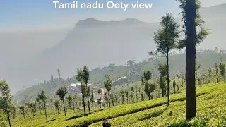 Tamil Nadu best place to visit in Ooty | #ooty #coonoor #tamilnadutourism l