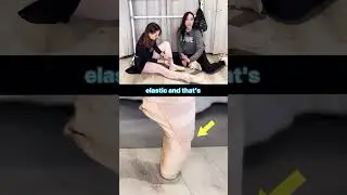 messy ballet shoes...?