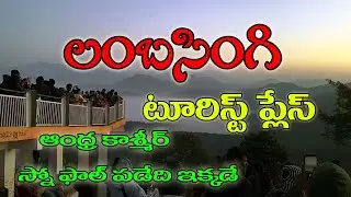 Lambasingi full tour in telugu II Andhra Kashmir II  Palasamudram II Lambasingi viewpoint