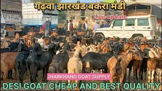 ||GARHWA JHARKHAND BAKRA MARKET LIVE UPDATE VLOG||9 DECEMBER 2024 FOR SALE||😊🎉🤑