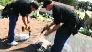 Pest Control Hamilton Critter Ritter Wildlife Services