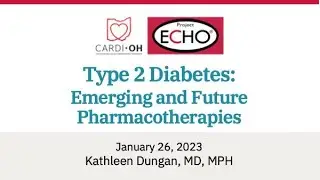Cardi-OH ECHO - Type 2 Diabetes: Emerging and Future Pharmacotherapies