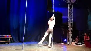Pole art cinema 2017