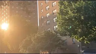CLAREMONT THE BRONX | CROTONA PARK | GREEN SPACE