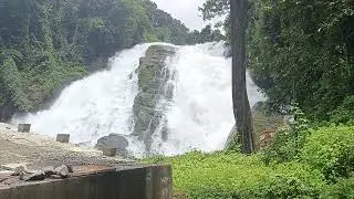 MONKEY FALLS - WATERFALLS