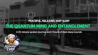 Real Sleepy Chef | The Quantum Mind and Entanglement - Sleep Videos with Sounds of Subsonic Life