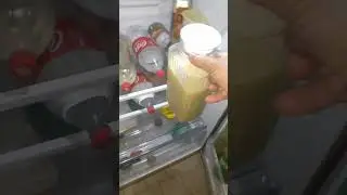 A  famosa mangaba 