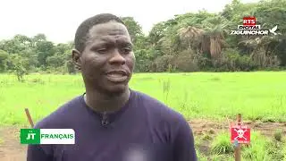 Plan Diomaye pour la Casamance : Le deminage humanitaire l'un des volets. Reportage RTS Casamance 