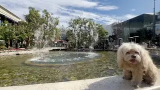 The Grove & Original Farmers Market, Los Angeles