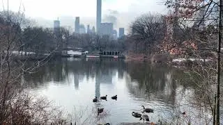 (Winter) City Sounds and Nature Ambience / Study / Sleep | Track 5