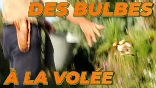 Les Bulbes à LA VOLÉE : On Teste Une Nouvelle Forme de Plantation 🍃