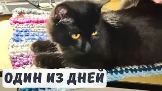 Беларусь/ про растения/ посткроссинг/ коврик