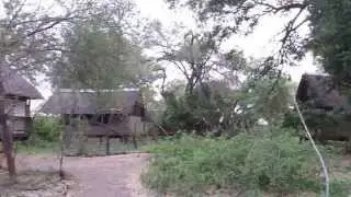 EcoTraining South Africa - Makuleke Camp - November 2013 - 360&deg;