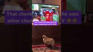 Pug&rsquo;s reaction on seeing cat on TV #pug #cat #funny #youtubeshorts #funnyshorts
