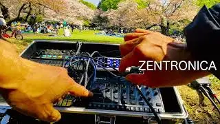 korg volca FM / volca fm2 / roland T8 /  japan hanami 花見ASMR
