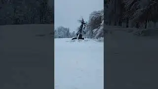 Chernobyl todey 2026