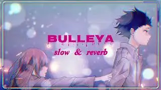 Bulleya (Lofi Version) - Relaxing Sufi Beats | Sultan Movie Song 🎧