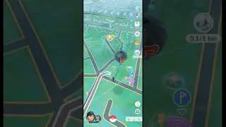 Pok&eacute;mon go pikipek community day