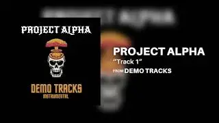 Project Alpha - Track 1