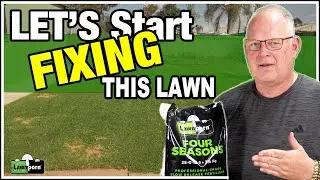 Spring Granular Treatment Before Renovation // Time to Fix This Ugly Lawn