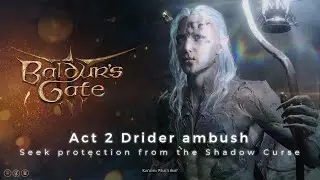 Baldur's Gate 3 Act 2 Drider Ambush - Harpers, Kar'niss & Dolly, Dolly, Dolly the Moon lantern pixie