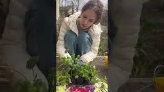 #сад #весенниепосадки #любимаяработа #студентки #девчата #youtuber#youtubeusers #happykidsпушкино