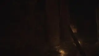 Resident Evil 8 Village - Bug - Body view