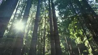 W Real Estate Header Video V4 20 sec