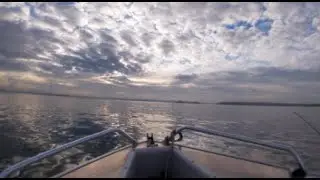 Botany Bay Squid Fishing