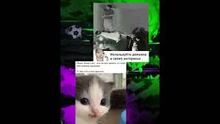 #reels #fyp #мем #дуэт #рекомендации #мемы #популярное #memes #remix