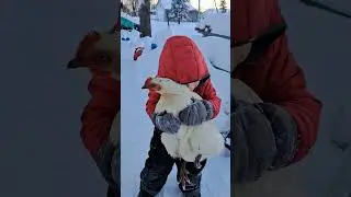 Chicken Hugs