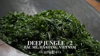 DEEP JUNGLE #2 by AN SHIM TEA. Bắc M&ecirc;, H&agrave; Giang, Vietnam
