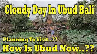 Walk Around in Ubud Bali | Ubud Bali Update Situation