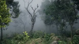 Screen Space Fog Scattering - Showcase Trailer