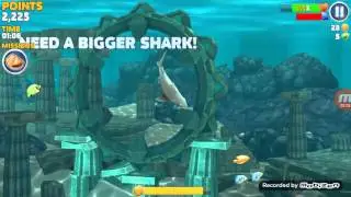 Hungry shark evolution pt. 1