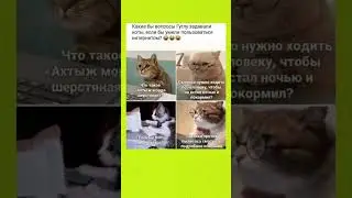 Коты 😹 #мем #юмор #смешнойшортс #котик #кот #видосыоткота #shorts #cat