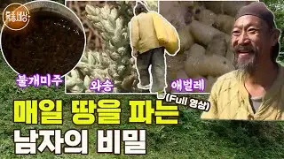 [특종세상] 산속의 불개미를 생으로 먹는 남자?! 매일 땅을 파는 남자의 비밀 MBN 181012 방송 [Full영상]
