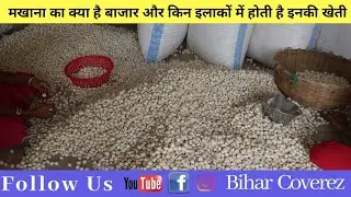 कैसे आता है मखाना बाजार मे ?